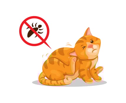 Cat itchy of lice. pet animal parasite skin problem cartoon illustration vector