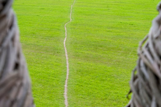 The beaten track in field, side view from the top. photo