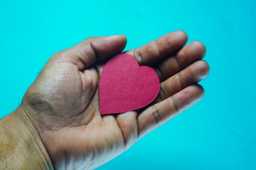heart in hand on isolated background photo