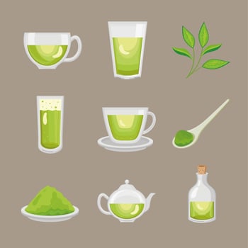 nine green tea icons vector