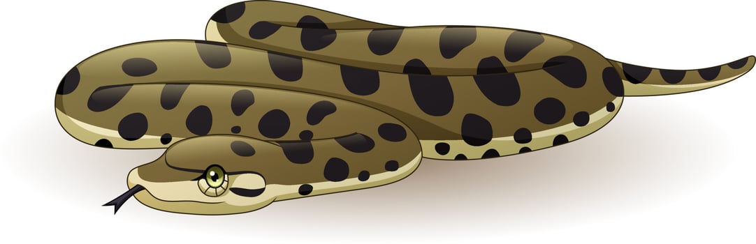 Cartoon anaconda snake on white background vector