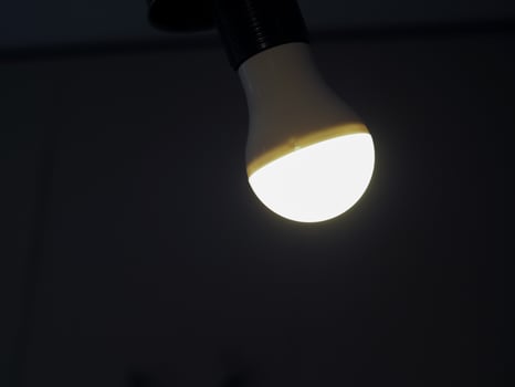 LED light bulb photo