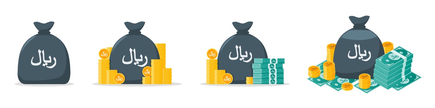 Saudi Riyal Money Bag Icon Set vector