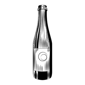 Craft beer bottle template. Hand drawn cider bottle isolated on white background. vector