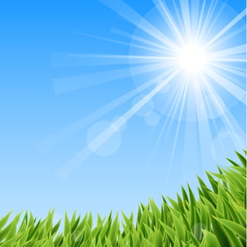 Green Grass And Sun Beam vector