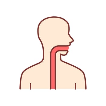 Healthy throat color icon. Oral cavity, pharynx and esophagus in good health. Upper section of alimentary canal. Internal body part in good shape. Gastrointestinal tract. Isolated vector illustration