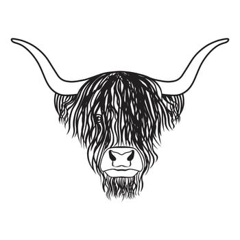 Highland Bull head tattoo vector