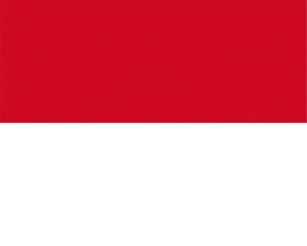 texturized Monegasque Flag of Monaco photo
