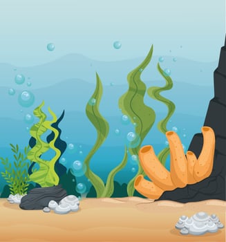 xxx and wild marine animals in ocean, sea world dwellers, cute underwater creatures, undersea fauna of tropic vector