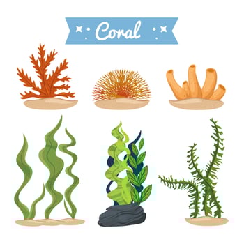 seaweed and coral, underwater nature icons vector