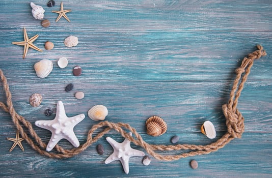 Seashells and sea decorations with rope photo