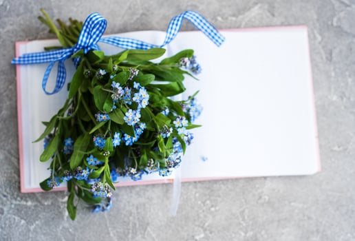Forget me not flowers and notebook photo