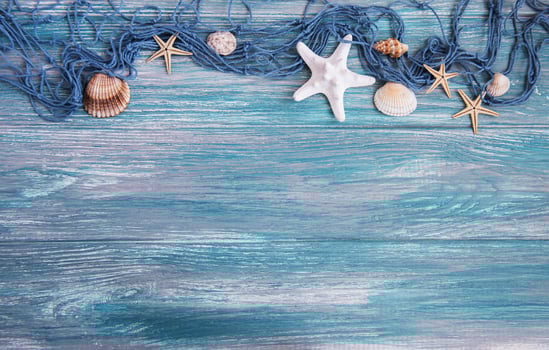 Fishing net with starfish photo