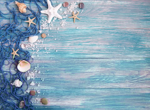 Fishing net with starfish photo