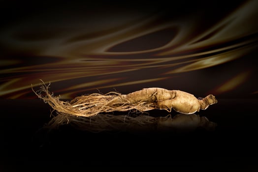 premium korean ginseng photo