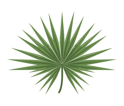 green exotic leave vector