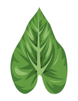 exotic leaf plant vector