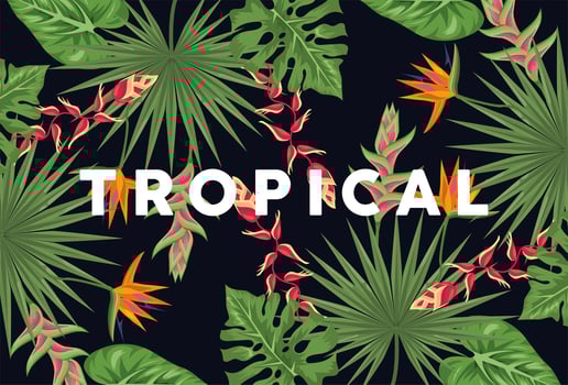 exotic tropical plants background vector
