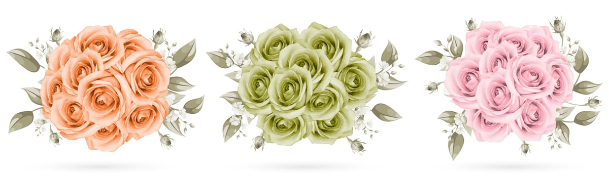 Rose bouquet isolated on white background vector