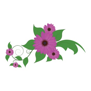 Beautiful ornamental flowers vector
