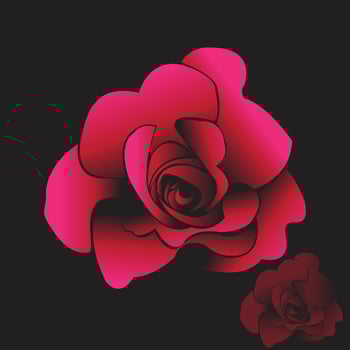 Beautiful red roses vector