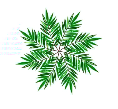 Summer wreath with green leaf vector