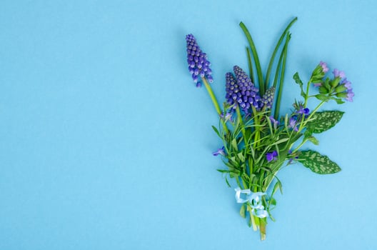 Beautiful small blue garden and wild flowers. photo