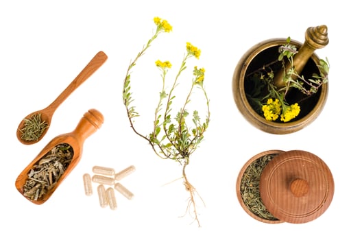 Fresh and dry shredded medicinal herbs, medical capsules. photo