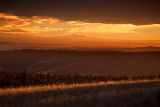 Cypress Hills Alberta Saskatchewan photo