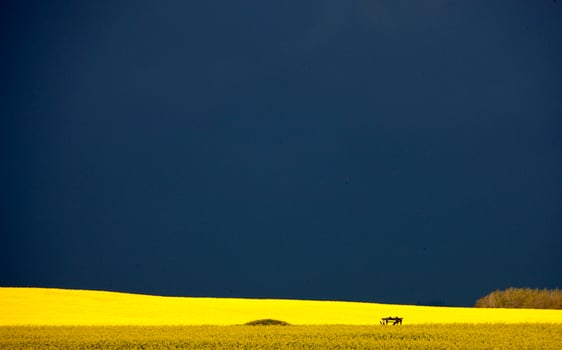 Storm Clouds Saskatchewan photo