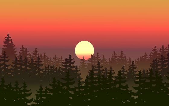 Coniferous forest silhouette sunset scene landscape vector