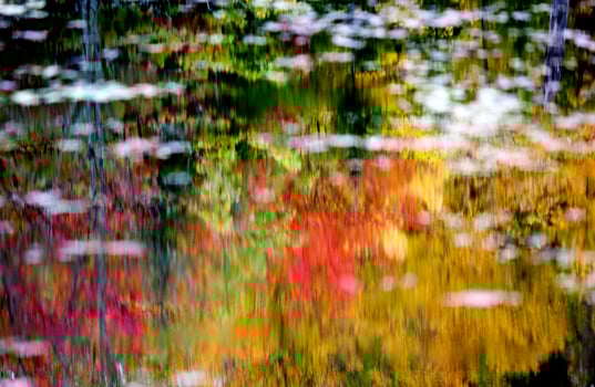 Algonquin Park Muskoka Ontario photo