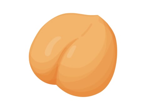 Chickpeas. Vegetarian food drawing. Farm market product. vector