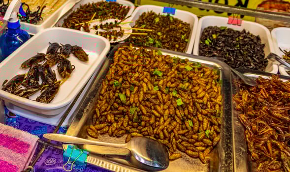 Thai food sale eating insects Khaosan Khao San Road Bangkok. photo