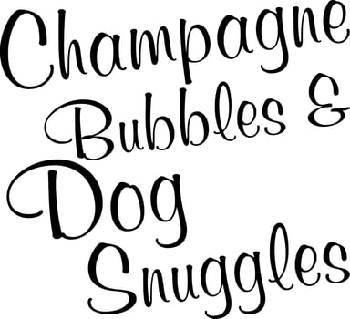 Champagne bubbles and dog snuggles vector