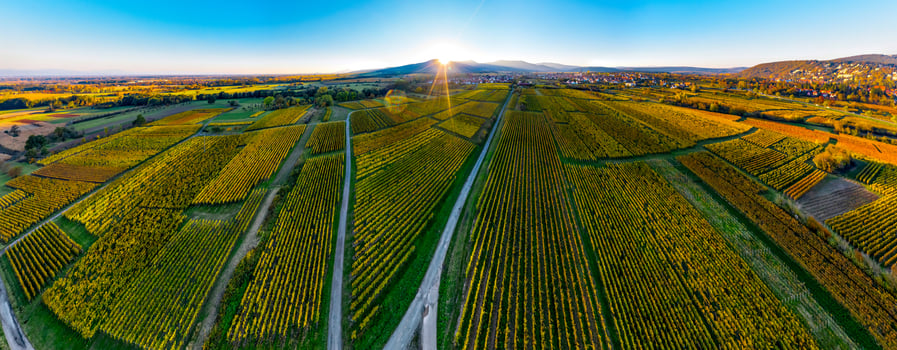 A drone rises above a multi-colored valley in the Vosges. Sunset. photo