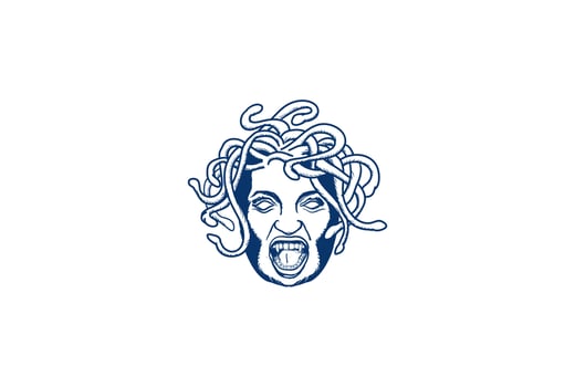 Medusa the Greek Goddess Head Face with Snake Hair Logo Design Vector