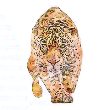 Jaguar animal watercolor sketch hand drawn illustration isolated white background vector