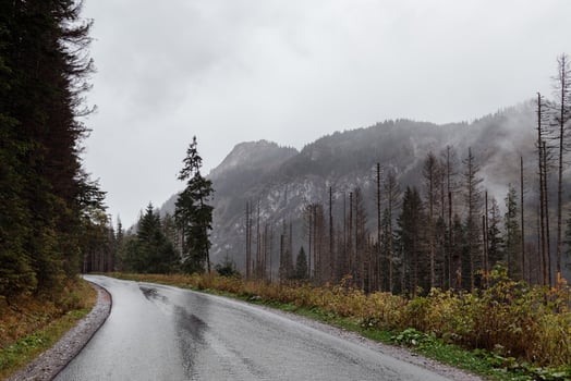 View of the winding mountain road through the pass, part of the mountain serpentine, in autumn cloudy weather with fog and rain photo