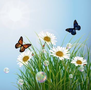 butterflies were looking for honey in the flowers vector