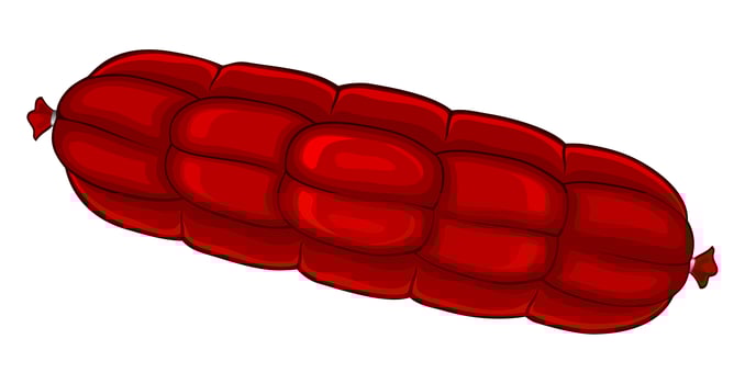 Realistic fresh sausage isolated on white background - Vector