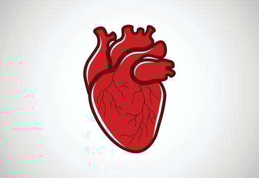 Human heart organs vector flat style icon
