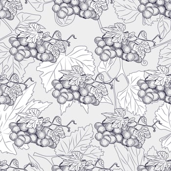 Hand drawn grape bunches and leaves seamless pattern. vector