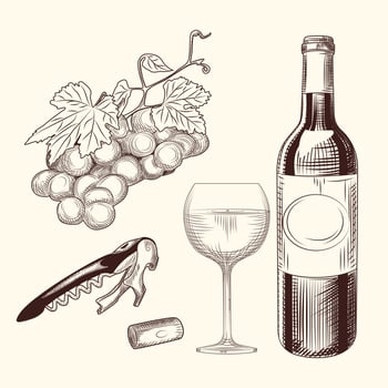 Set of wine. Hand drawn of wine glass, bottle, wine cork, corkscrew and grapes. vector