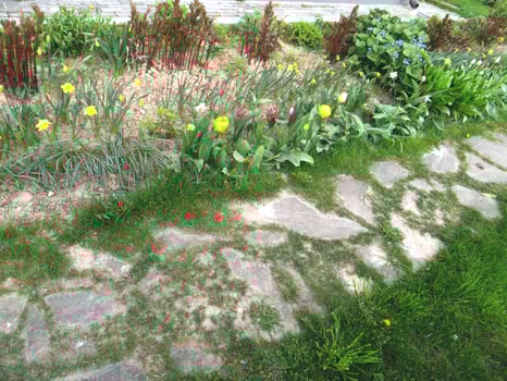 Spring garden view . Small stone path. photo