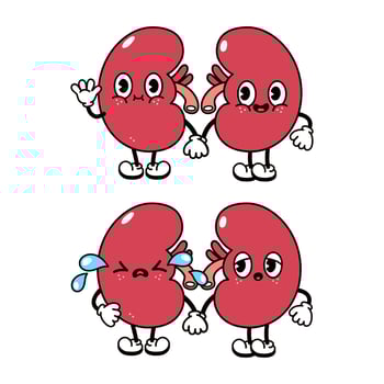 Funny cute kidneys characters bundle set. Vector hand drawn doodle style traditional cartoon vintage, retro character illustration icon design. Isolated white background. Happy kidneys mascot