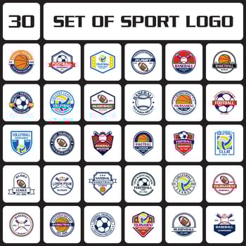 a set of championship logo , a set of sport logo vector