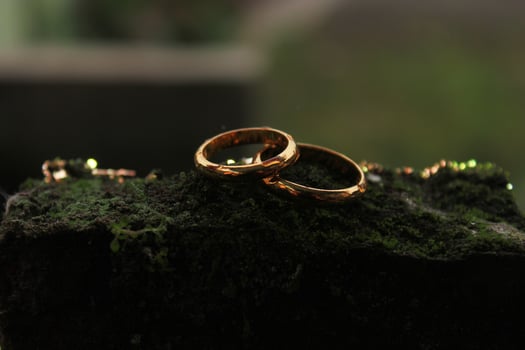 Wedding rings symbol love family. A pair of simple wedding rings photo