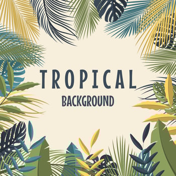 Tropical background with jungle plants vector
