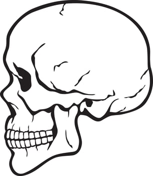 Human skull profile black white vector illustration